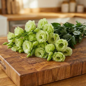 Rosita 2 Green, (F1) Lisianthus Seeds